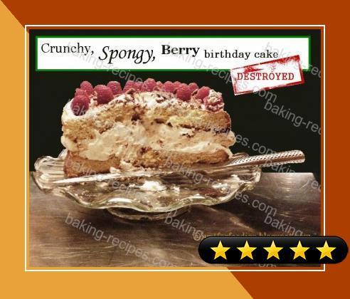 Berry Pavlova Sponge Cake recipe