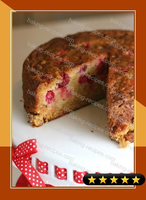 Cranberry Spice Snacking Cake recipe