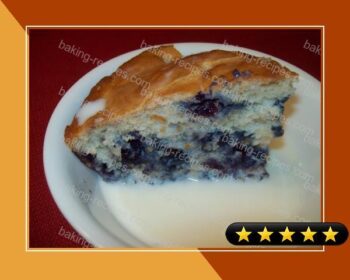 Nana Weesies Berry Grunt Cake recipe