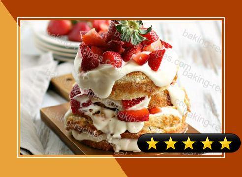 Sponge Cake with Creamy Strawberry Cheesecake Frosting recipe
