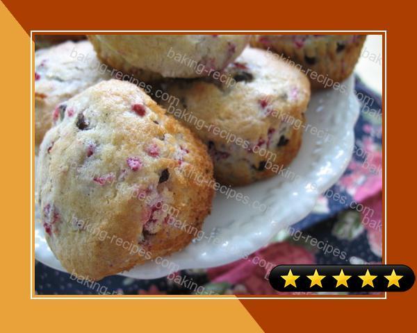 Chocolate Chip Cranberry Muffins recipe