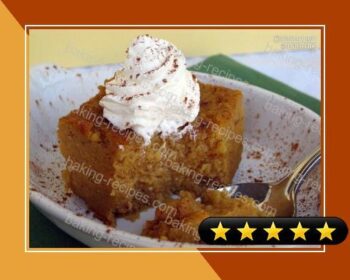 Pumpkin Pie Pudding A CrockPot Recipe recipe