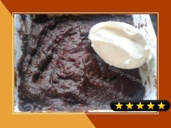 Rich Cocoa Almond Microwave Cake (LCHF) recipe
