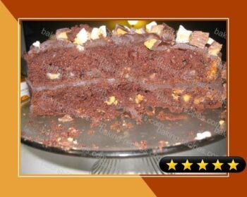 Reese's Cup Chocolate Cake recipe