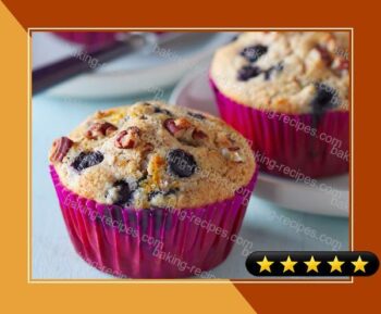 Brunch Staple: Blueberry Whole Wheat Muffins recipe