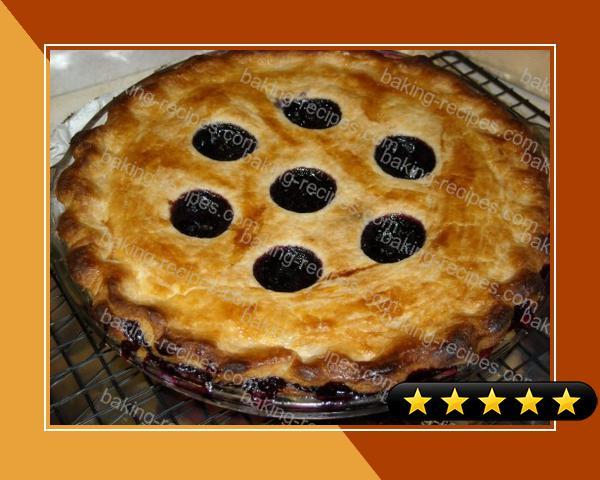 The Best Blueberry Pie recipe