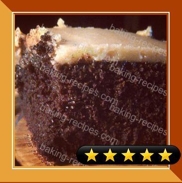 Sallys Chocolate Peanut Butter Cake recipe