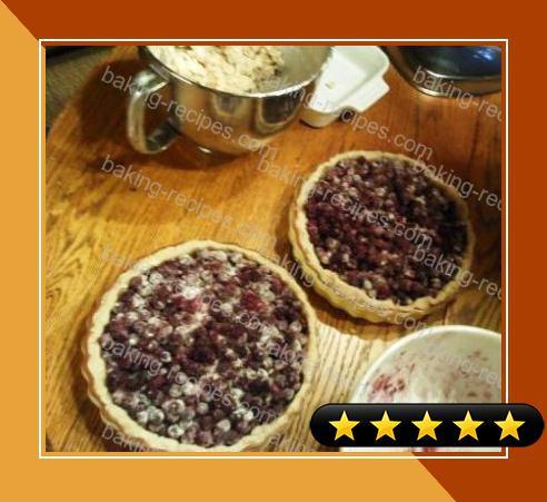 Blueberry Picnic Pie recipe