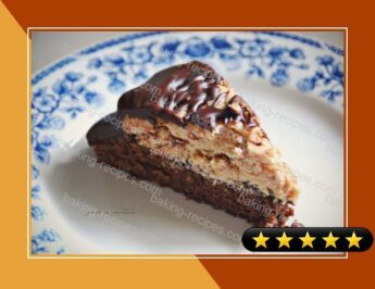 Vegan Chocolate Peanut Butter Cake recipe