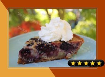Blackberry Custard Pie recipe