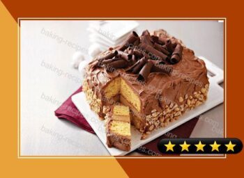 Stunning Peanut Butter-Chocolate Layer Cake recipe