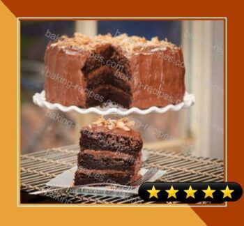 Gluten-Free Double Chocolate Mint Cake recipe
