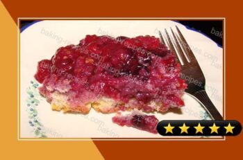Blue-Raspberry Pudding Cake recipe
