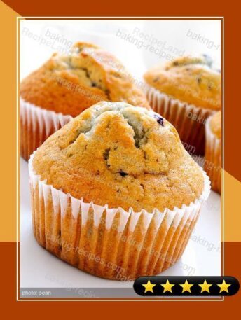 TNT-Blueberry Muffins recipe