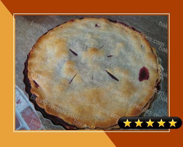 Best Blackberry Pie recipe