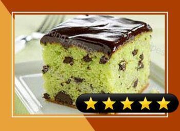 Mint-Chocolate Pudding Cake recipe