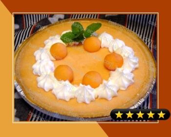 Cantaloupe Pie recipe